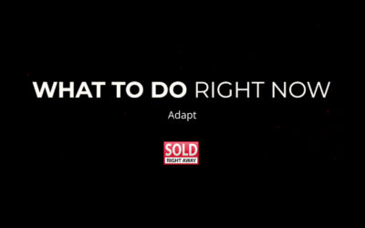 What To Do Right Now Series – Adapt